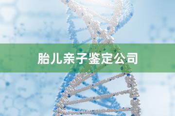 长沙胎儿亲子鉴定公司